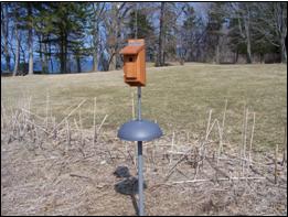 lake bluff sanctuary nest box project